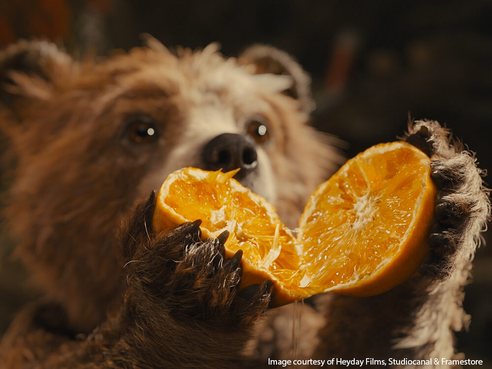 Paddington bear holding an orange