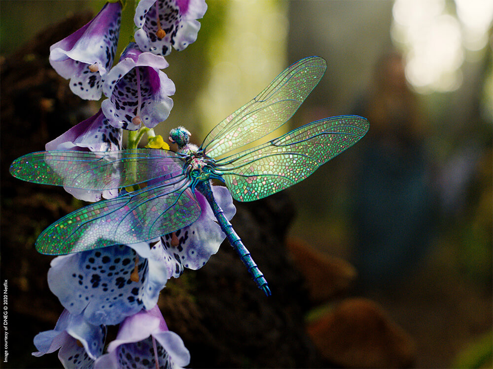 A blue dragonfly is flying over a purple flower