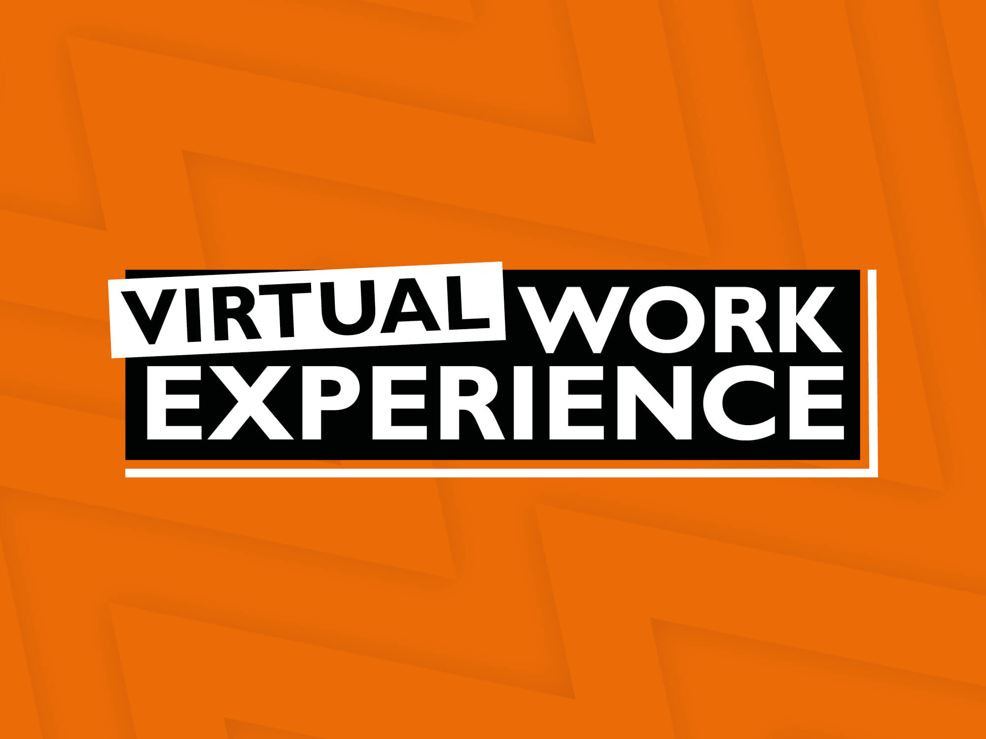 Virtual Work Experience logo