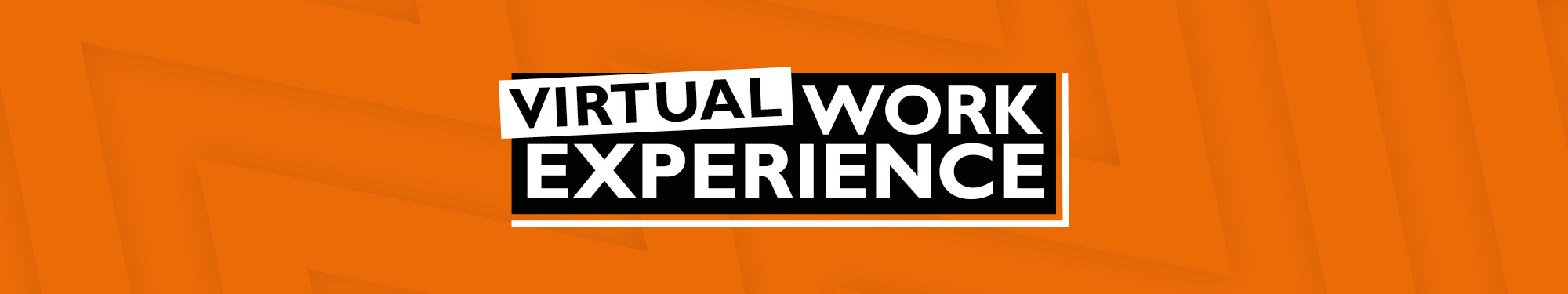 Virtual work experience