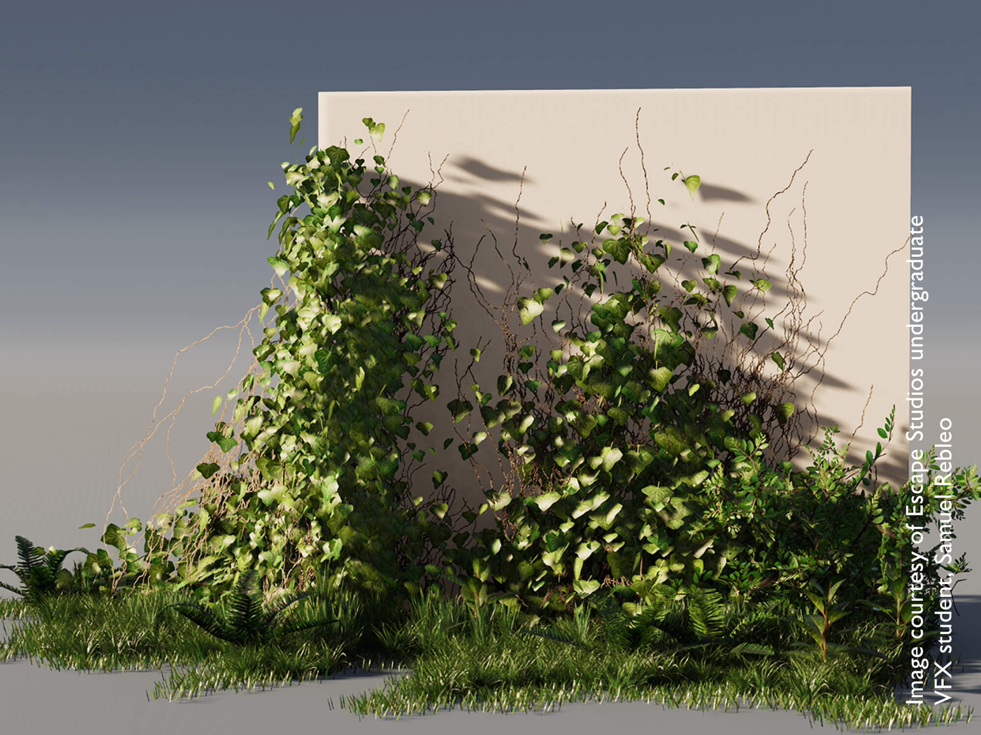 VFX Student work: wall with green ivy in development stage