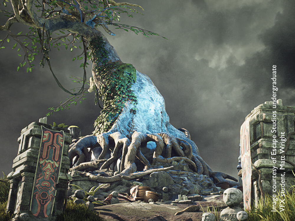 Ancient tree with blue ice rising up the right hand side