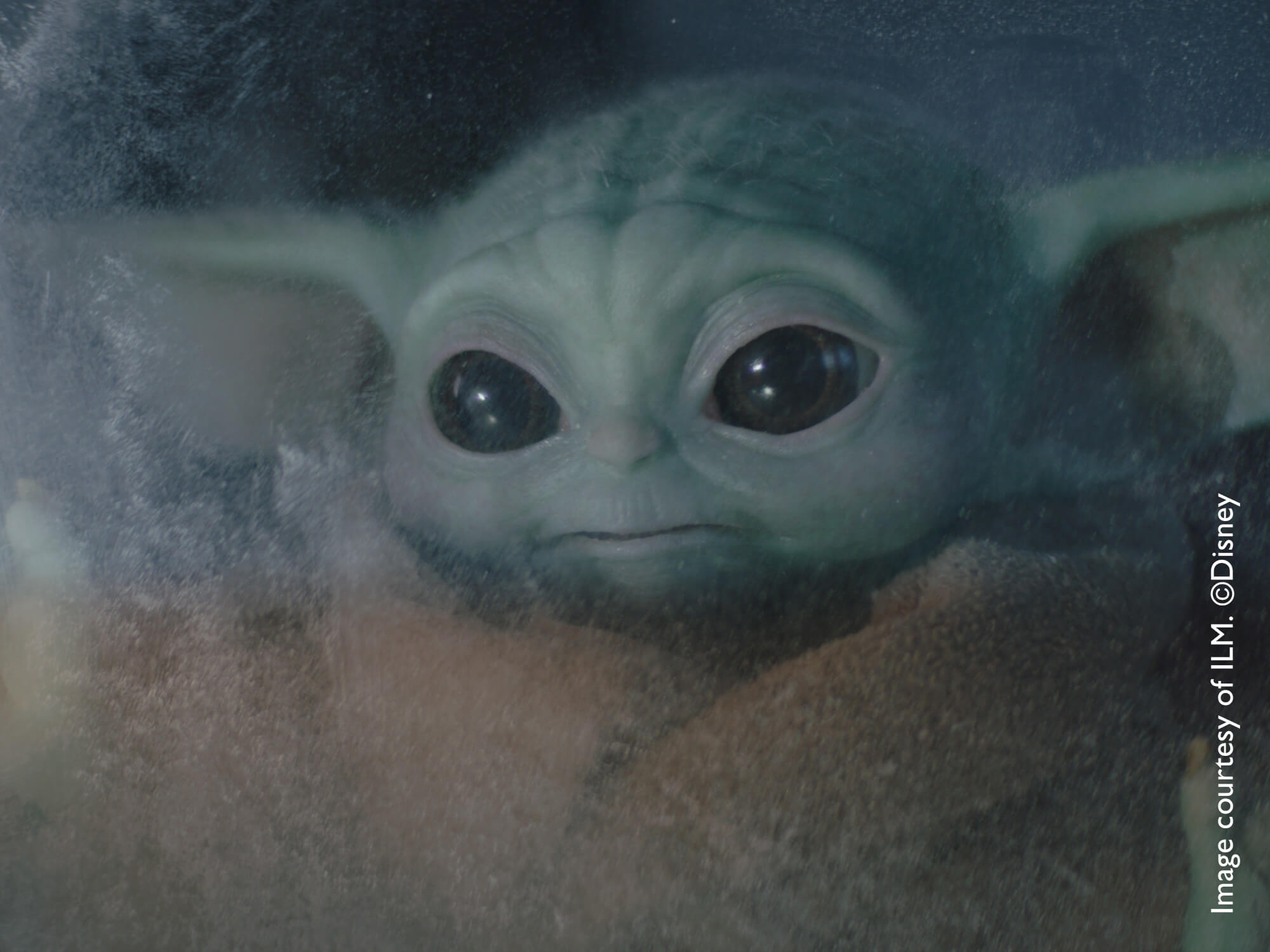 Close up of green alien character Grogu in The Mandalorian